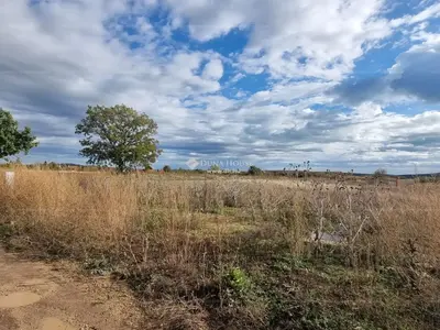 Szentkirályszabadja, Nefelejcs utca