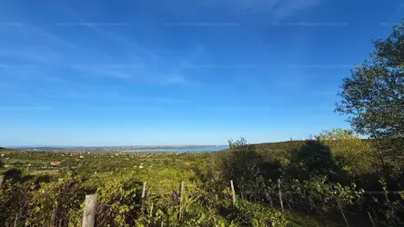 Szentkirályszabadja