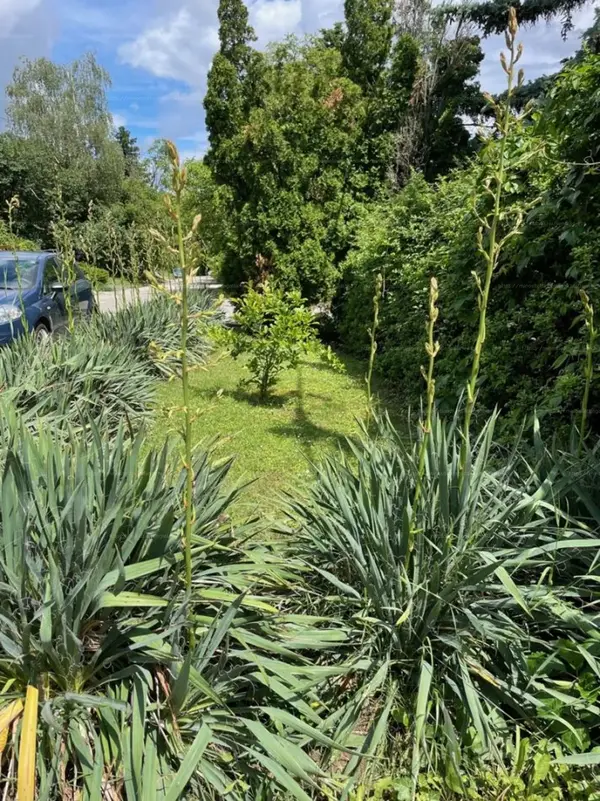 Budapest, II. kerület