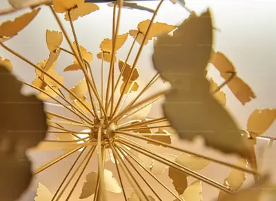 Budapest, V. kerület