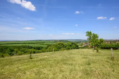 Telki, Anna-laki út