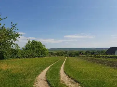 Pusztazámor, Üveghegyi utca