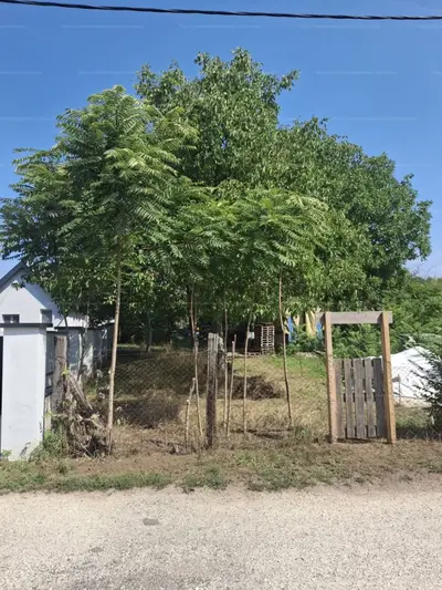 Budapest, XVI. kerület