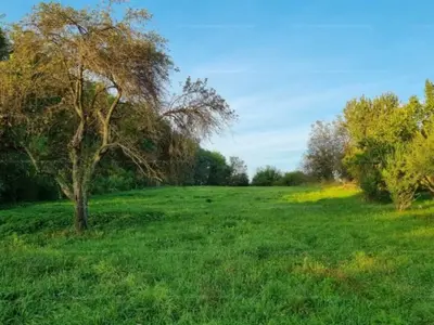 Pápa, Külső Győri út