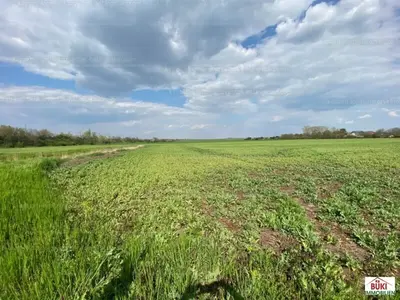 Martonvásár, Külső-Budai út