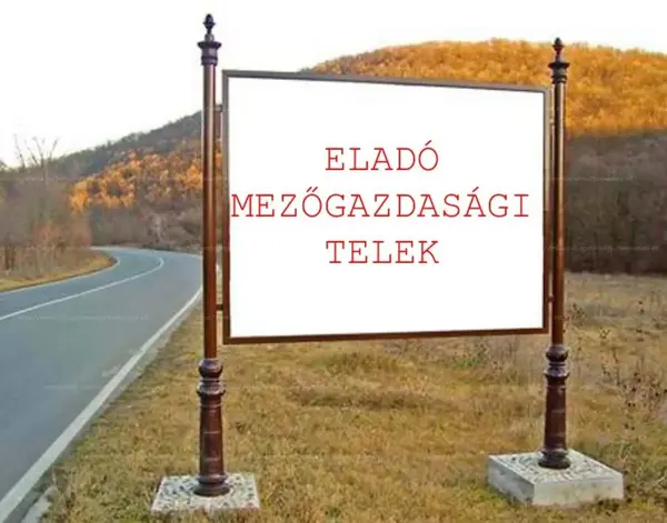 Tápiószecső