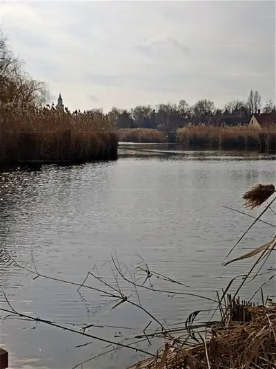 Gyomaendrőd, Móra Ferenc utca