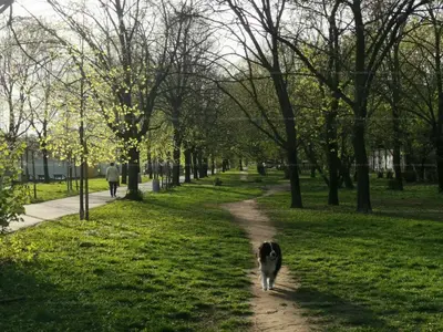 Budapest, XI. kerület, Pajkos utca