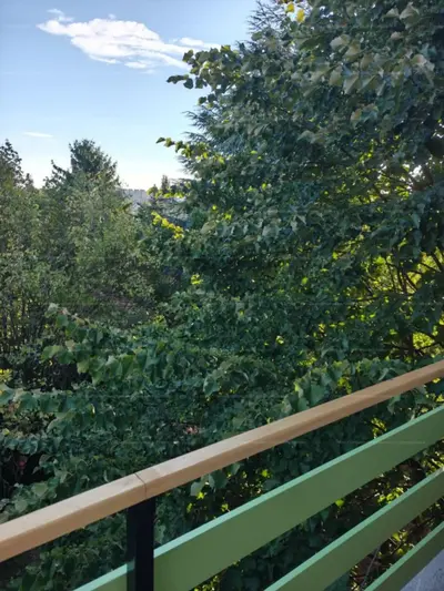 Budapest, XI. kerület