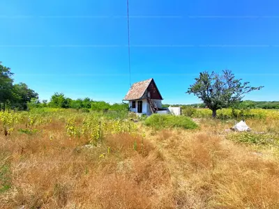 Tápiószőlős, Dózsa György utca