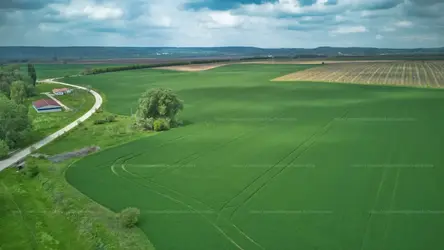 Budajenő, Erdőkerülő utca