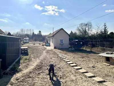 Őrbottyán, Lucerna utca