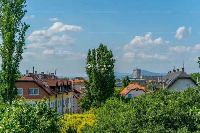 Budapest, XIV. kerület, Torontál utca