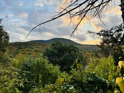 Budapest, II. kerület