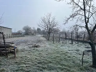 Szabadegyháza, Kossuth Lajos utca