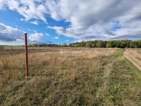 Szentkirályszabadja, Nefelejcs utca