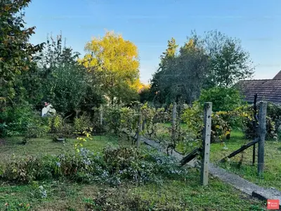 Budakalász, Jankovics utca