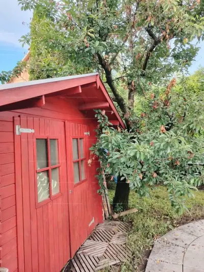 Domoszló, Kinizsi Pál utca