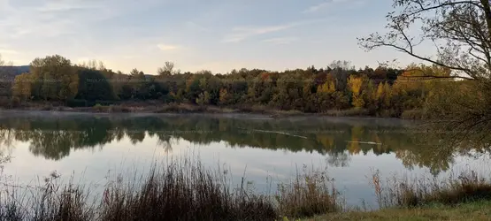 Tatabánya, Vidra utca