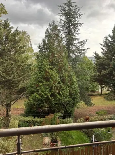 Budapest, XVI. kerület