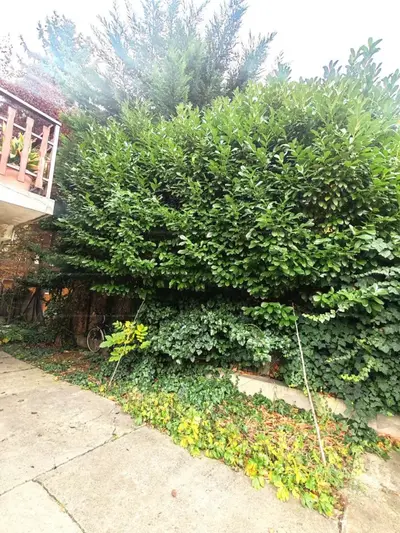 Budapest, III. kerület