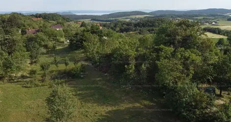 Balatonszőlős