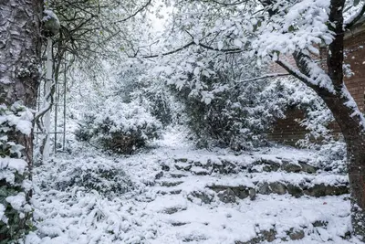 Budapest, II. kerület