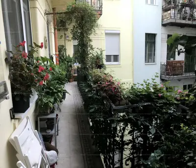 Budapest, VIII. kerület