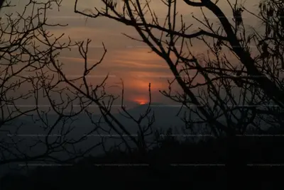 Szentendre, Csányi utca