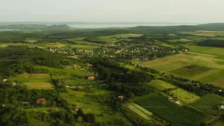 Balatonszőlős