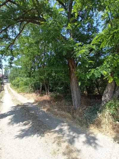 Budapest, XXI. kerület