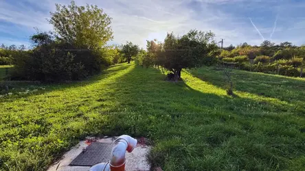 Szentkirályszabadja