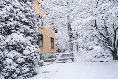 Budapest, II. kerület