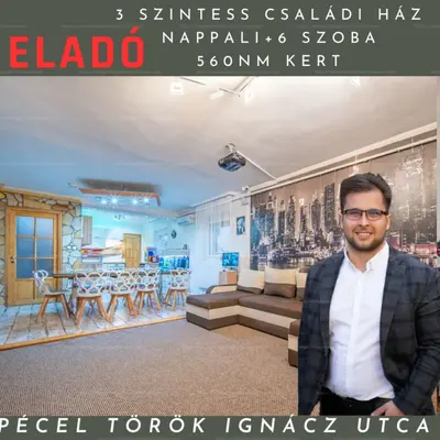 Pécel, Török Ignác utca