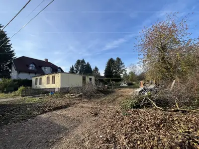 Gödöllő, Szent-Györgyi Albert utca