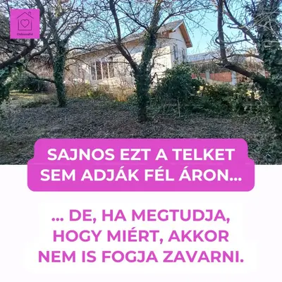 Diósd, Szabadság út