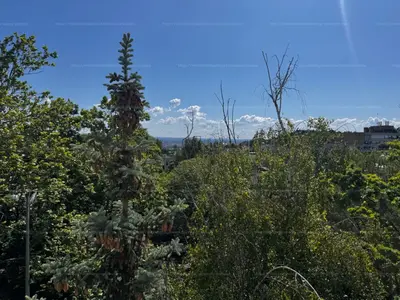 Budapest, II. kerület