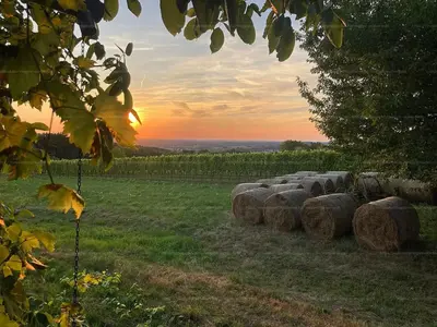 Zalalövő