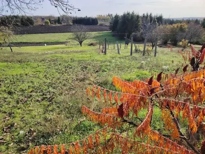 Feldebrő, Kossuth Lajos út