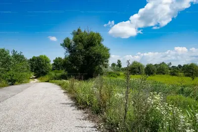 Kecskemét, Zöldfa utca