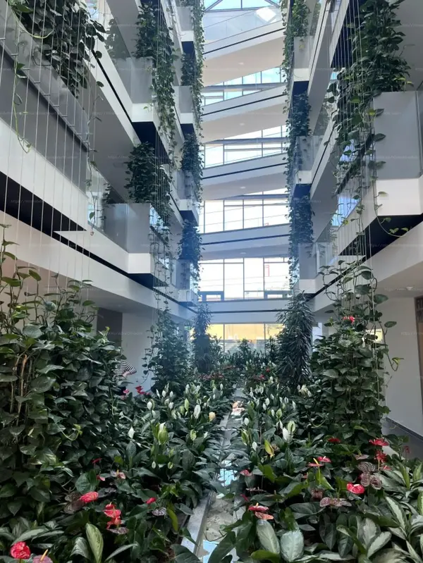 Budapest, XI. kerület