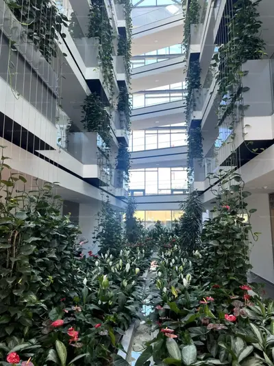 Budapest, XI. kerület