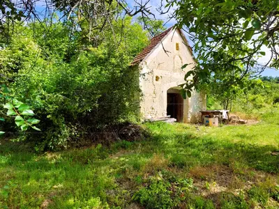 Balatonszőlős