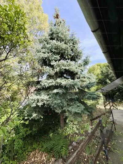 Budapest, III. kerület