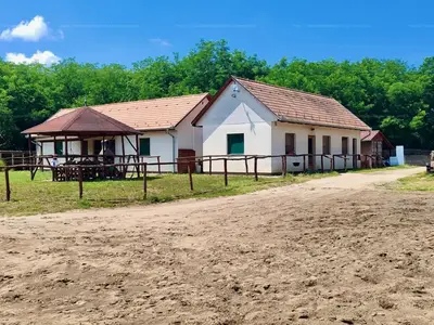 Felsőpakony, Géza fejedelem utca