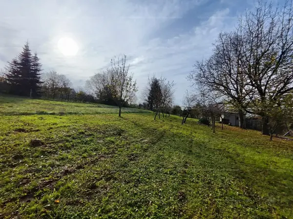 Zalaegerszeg, Gálafeji utca