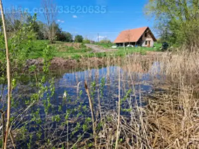 Petőhenye, Szabadság utca