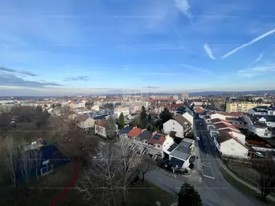 Zalaegerszeg, Vizslaparki út