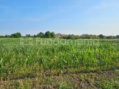 Mezőtúr, Bajcsy-Zsilinszky utca